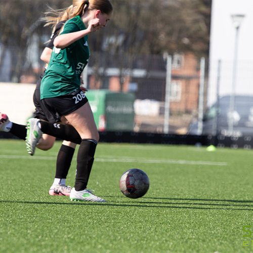 IMG_0456 IMG_0456