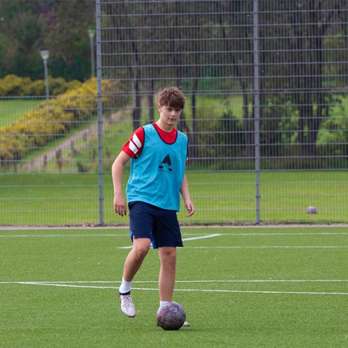 IMG_5037 IMG_5037