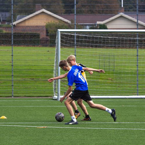 IMG_5360 IMG_5360